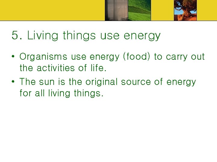 5. Living things use energy • Organisms use energy (food) to carry out the