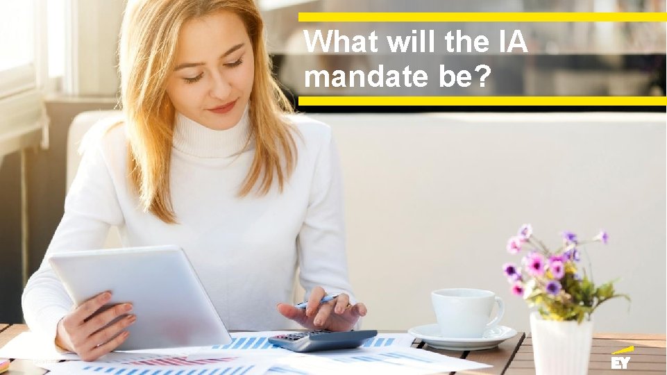 What will the IA mandate be? Page 7 November 2020 Presentation title 