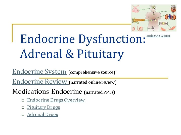 Endocrine Dysfunction: Adrenal & Pituitary Endocrine System (comprehensive source) Endocrine Review (narrated online review)