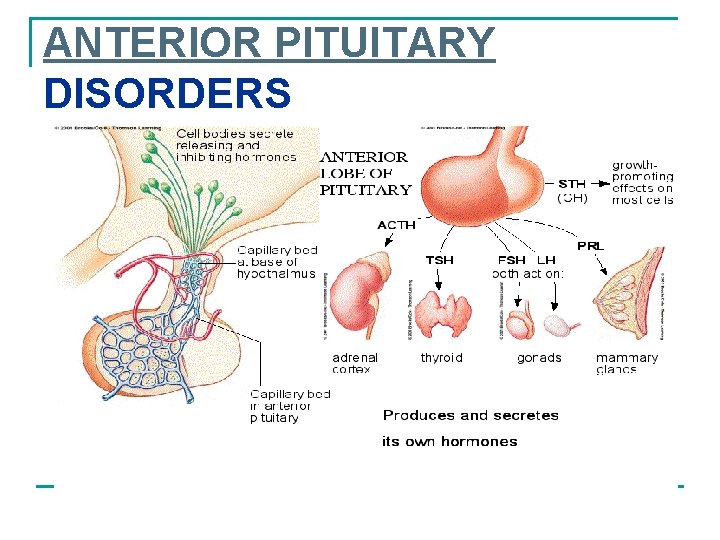 ANTERIOR PITUITARY DISORDERS 