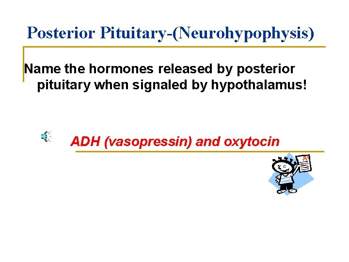 Posterior Pituitary-(Neurohypophysis) Name the hormones released by posterior pituitary when signaled by hypothalamus! ADH