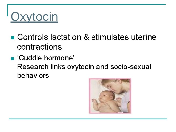 Oxytocin n n Controls lactation & stimulates uterine contractions ‘Cuddle hormone’ Research links oxytocin