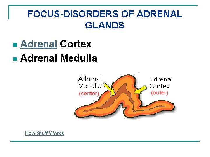 FOCUS-DISORDERS OF ADRENAL GLANDS Adrenal Cortex n Adrenal Medulla n How Stuff Works 