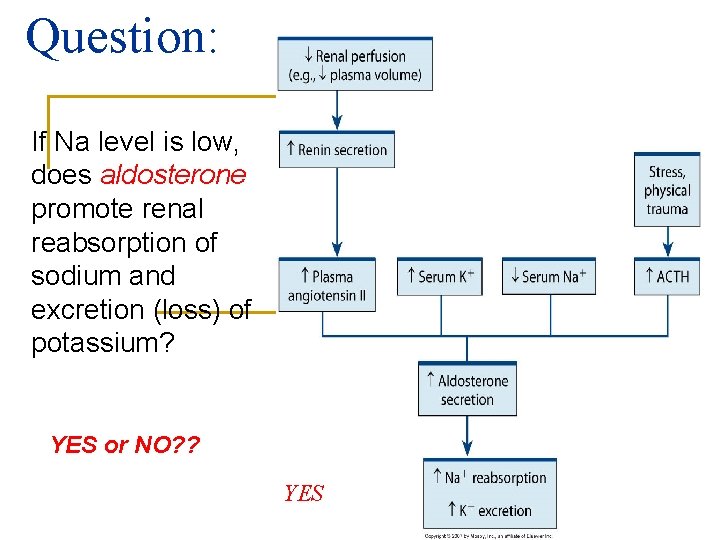 Question: If Na level is low, does aldosterone promote renal reabsorption of sodium and