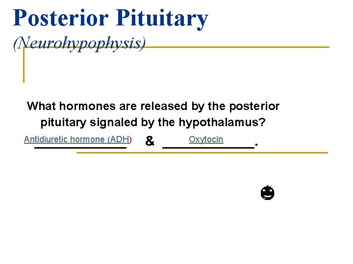 Posterior Pituitary (Neurohypophysis) What hormones are released by the posterior pituitary signaled by the