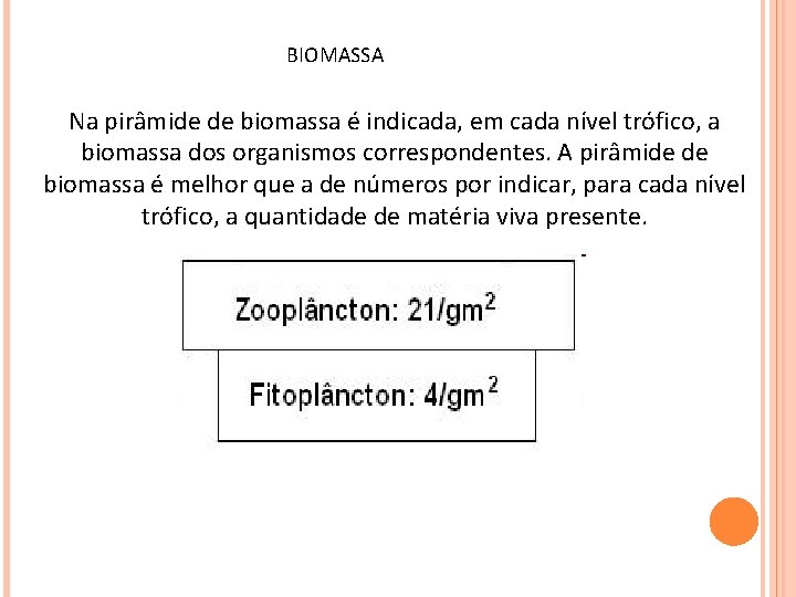 BIOMASSA Na pirâmide de biomassa é indicada, em cada nível trófico, a biomassa dos