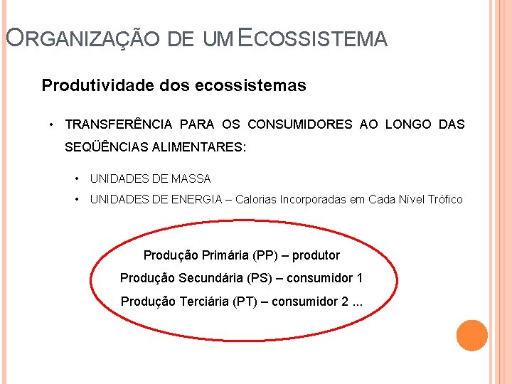 ORGANIZAÇÃO DE UM ECOSSISTEMA Produtividade dos ecossistemas • TRANSFERÊNCIA PARA OS CONSUMIDORES AO LONGO