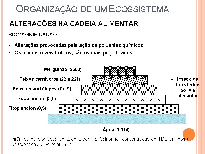 ORGANIZAÇÃO DE UM ECOSSISTEMA ALTERAÇÕES NA CADEIA ALIMENTAR BIOMAGNIFICAÇÃO • Alterações provocadas pela ação