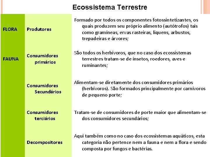 Ecossistema Terrestre FLORA Produtores Formado por todos os componentes fotossintetizantes, os quais produzem seu