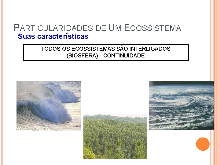 PARTICULARIDADES DE UM ECOSSISTEMA Suas características TODOS OS ECOSSISTEMAS SÃO INTERLIGADOS (BIOSFERA) - CONTINUIDADE