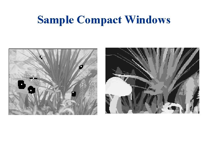 Sample Compact Windows 