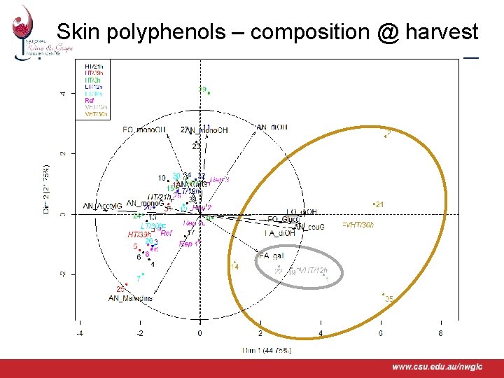 Skin polyphenols – composition @ harvest www. csu. edu. au/nwgic 