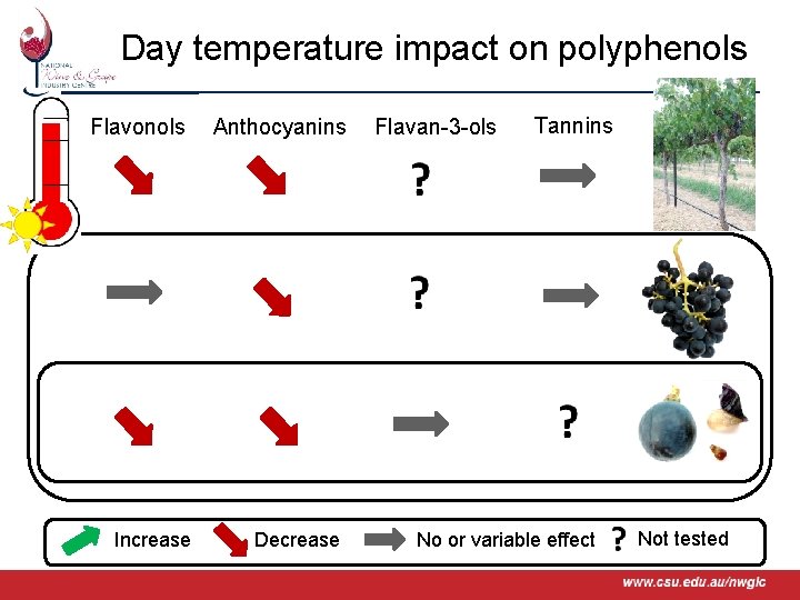 Day temperature impact on polyphenols Flavonols Increase www. csu. edu. au/nwgic Anthocyanins Decrease Flavan-3