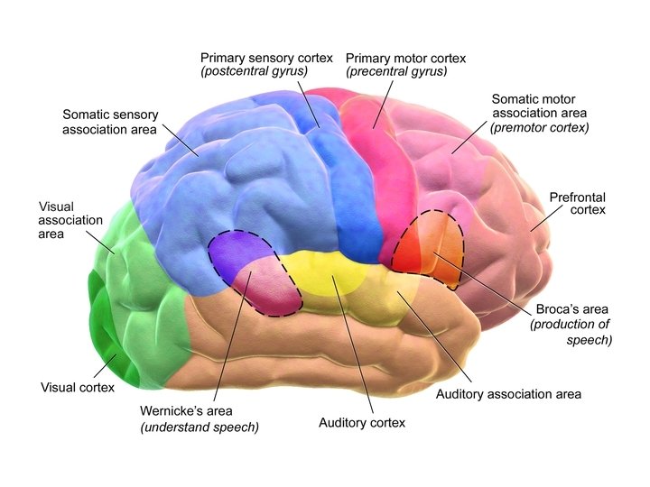 Dyslexia Educating Georgia’s Future: Georgia’s State ESSA Plan 3 