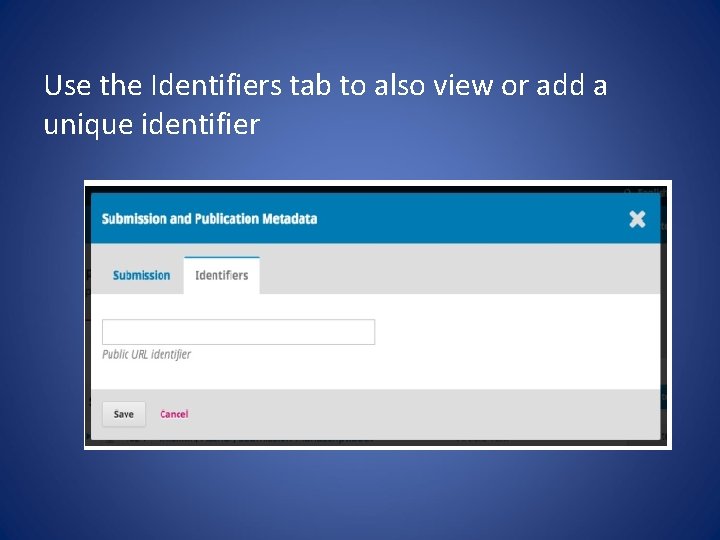 Use the Identifiers tab to also view or add a unique identifier 