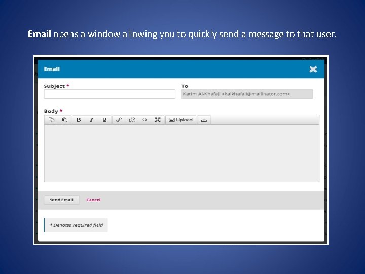 Email opens a window allowing you to quickly send a message to that user.