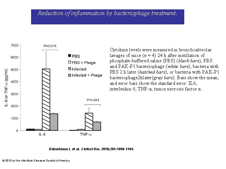 Reduction of inflammation by bacteriophage treatment. Cytokine levels were measured in bronchoalveolar lavages of