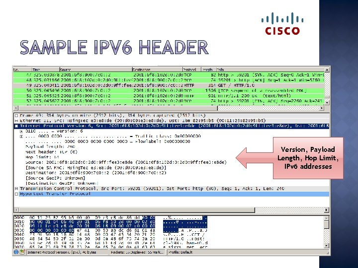 Version, Payload Length, Hop Limit, IPv 6 addresses 