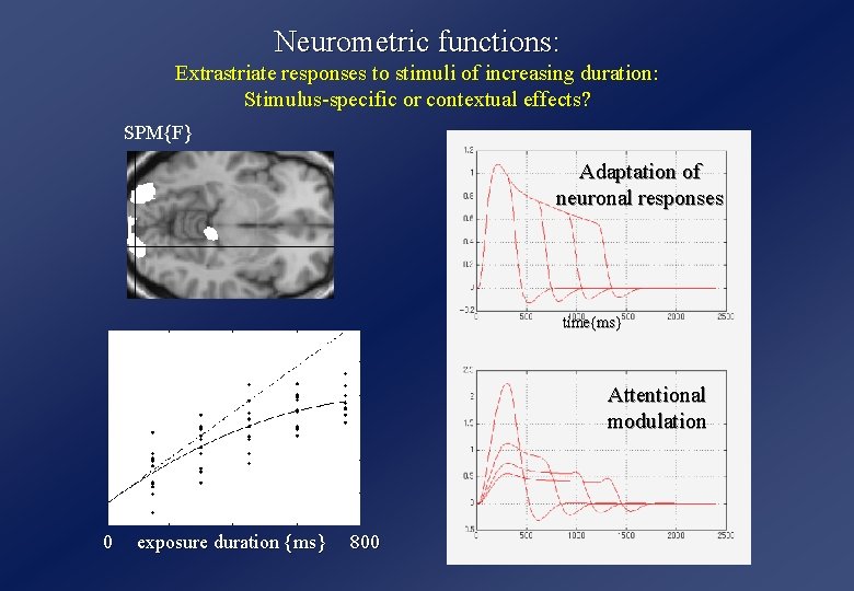 Neurometric functions: Extrastriate responses to stimuli of increasing duration: Stimulus-specific or contextual effects? SPM{F}