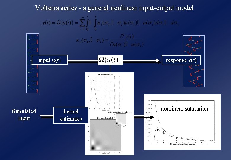 Volterra series - a general nonlinear input-output model input u(t) Simulated input kernel estimates