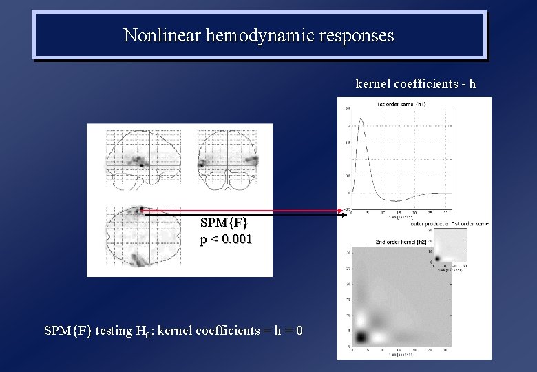 Nonlinear hemodynamic responses kernel coefficients - h SPM{F} p < 0. 001 SPM{F} testing