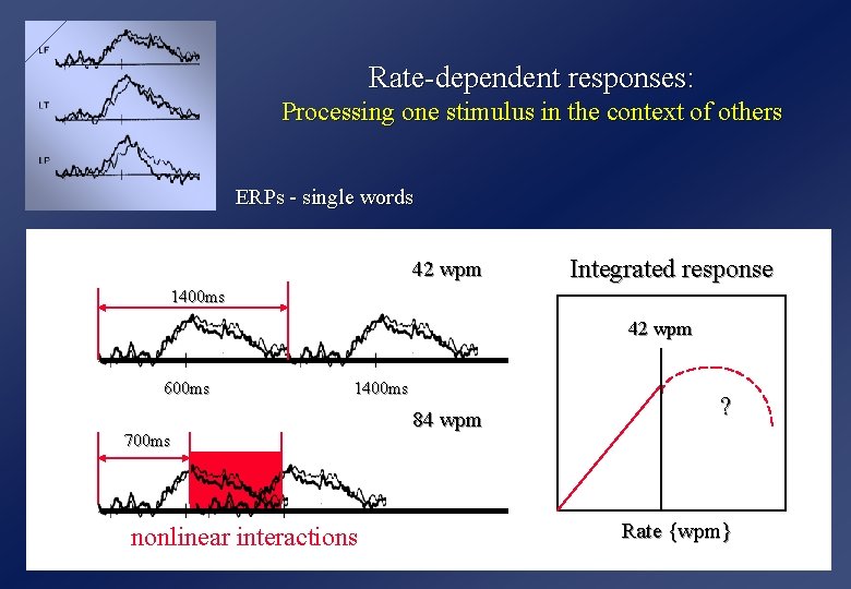 Rate-dependent responses: Processing one stimulus in the context of others ERPs - single words