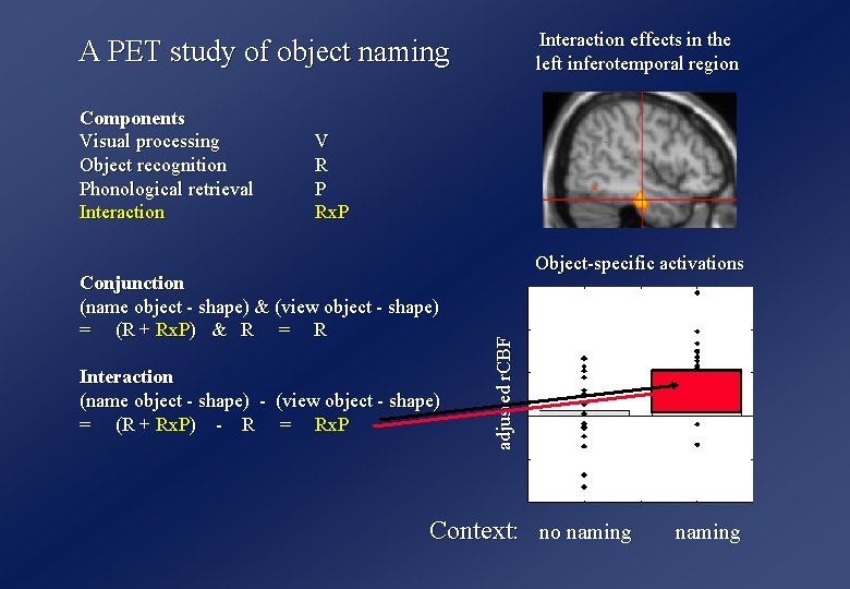 Interaction effects in the left inferotemporal region A PET study of object naming V