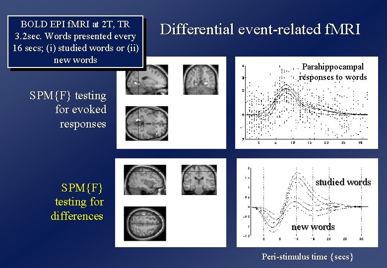 BOLD EPI f. MRI at 2 T, TR 3. 2 sec. Words presented every