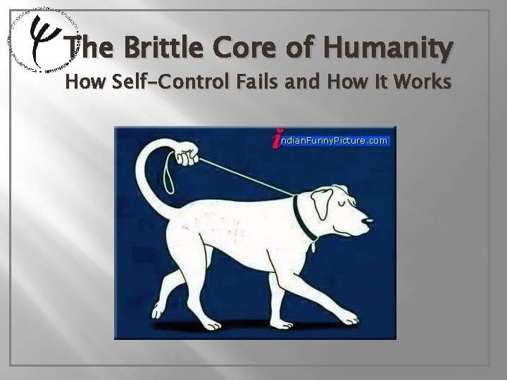 The Brittle Core of Humanity How Self-Control Fails and How It Works 