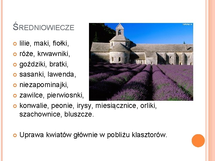 ŚREDNIOWIECZE lilie, maki, fiołki, róże, krwawniki, goździki, bratki, sasanki, lawenda, niezapominajki, zawilce, pierwiosnki, konwalie,