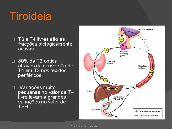 Tiroideia � T 3 e T 4 livres são as fracções biologicamente activas �