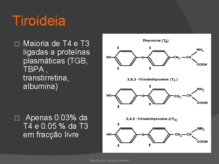 Tiroideia � Maioria de T 4 e T 3 ligadas a proteínas plasmáticas (TGB,