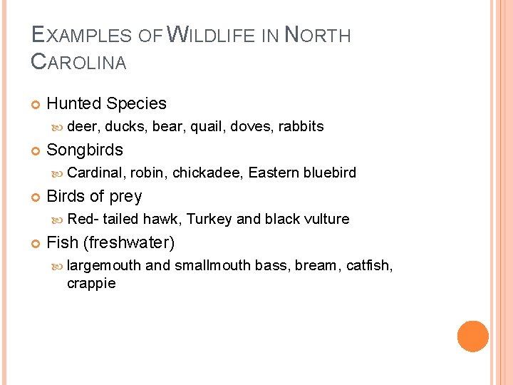 EXAMPLES OF WILDLIFE IN NORTH CAROLINA Hunted Species deer, ducks, bear, quail, doves, rabbits