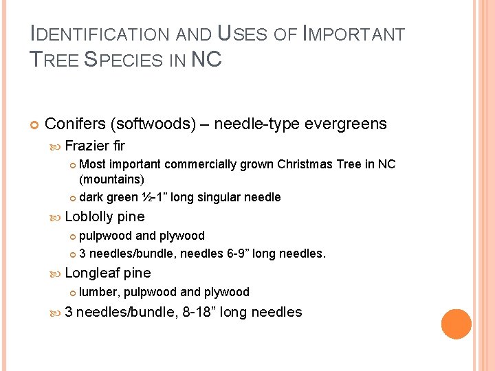 IDENTIFICATION AND USES OF IMPORTANT TREE SPECIES IN NC Conifers (softwoods) – needle-type evergreens
