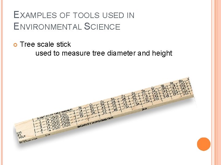 EXAMPLES OF TOOLS USED IN ENVIRONMENTAL SCIENCE Tree scale stick used to measure tree