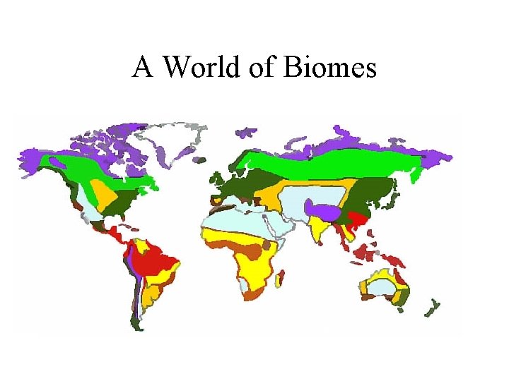 A World of Biomes 