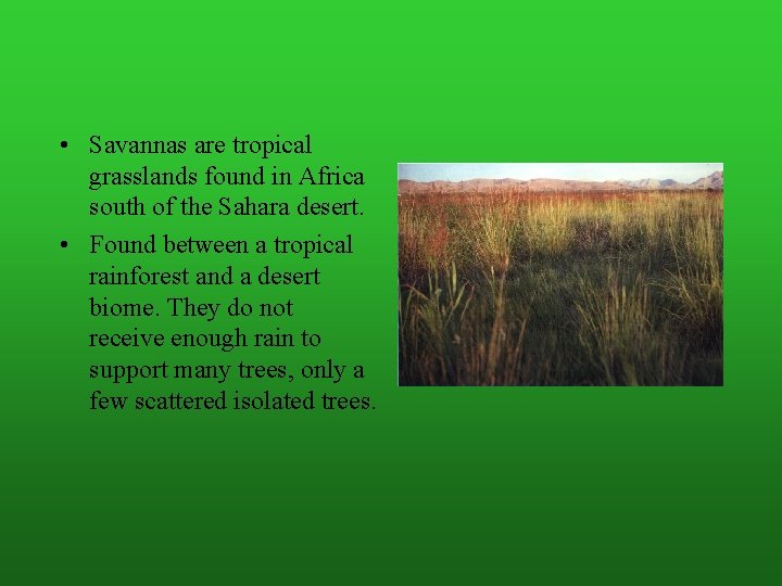  • Savannas are tropical grasslands found in Africa south of the Sahara desert.