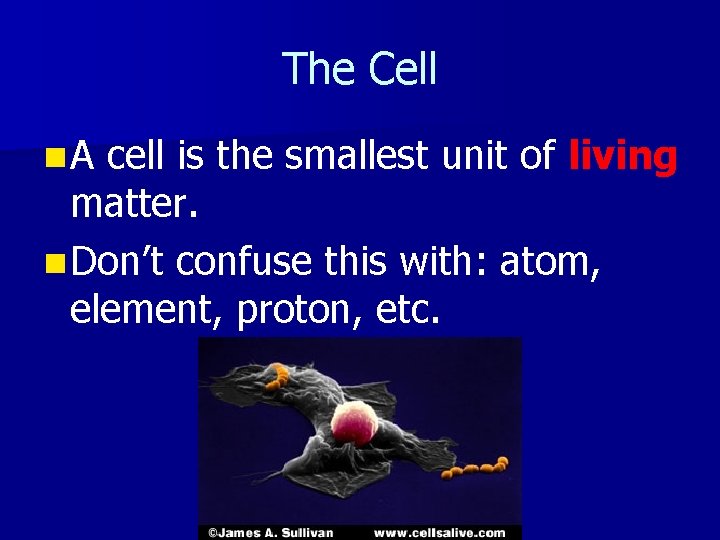 The Cell n A cell is the smallest unit of living matter. n Don’t