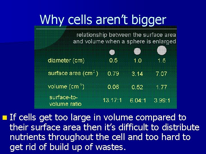 Why cells aren’t bigger n If cells get too large in volume compared to