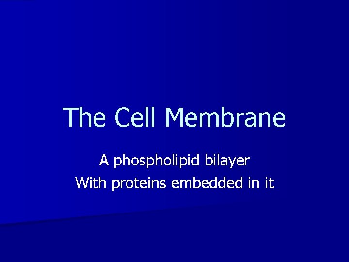 The Cell Membrane A phospholipid bilayer With proteins embedded in it 