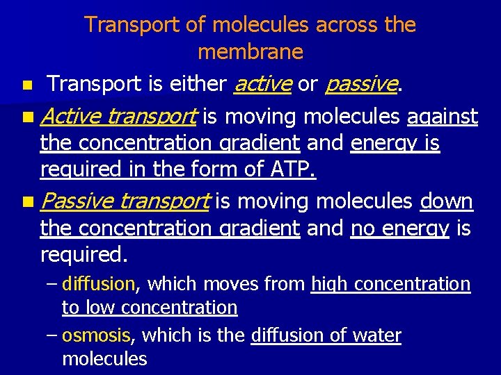 Transport of molecules across the membrane n Transport is either active or passive. n