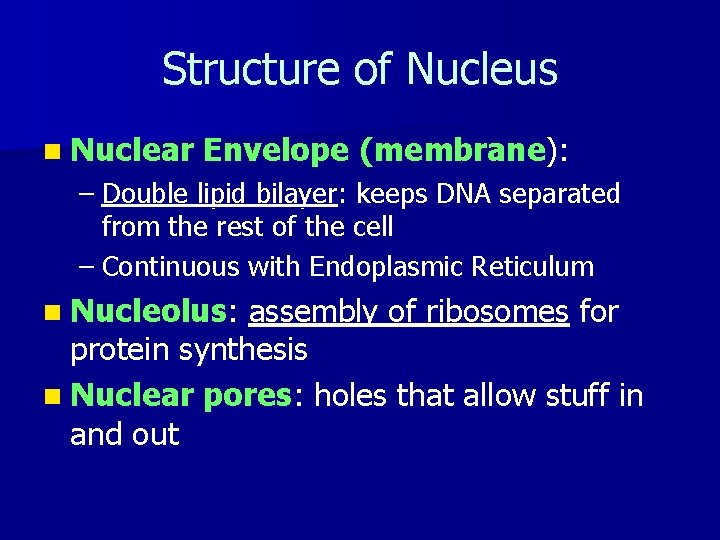 Structure of Nucleus n Nuclear Envelope (membrane): – Double lipid bilayer: keeps DNA separated