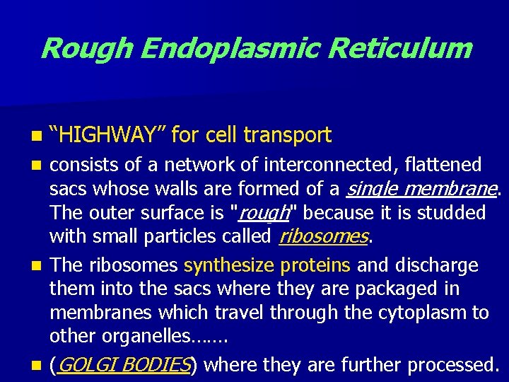 Rough Endoplasmic Reticulum n “HIGHWAY” for cell transport consists of a network of interconnected,