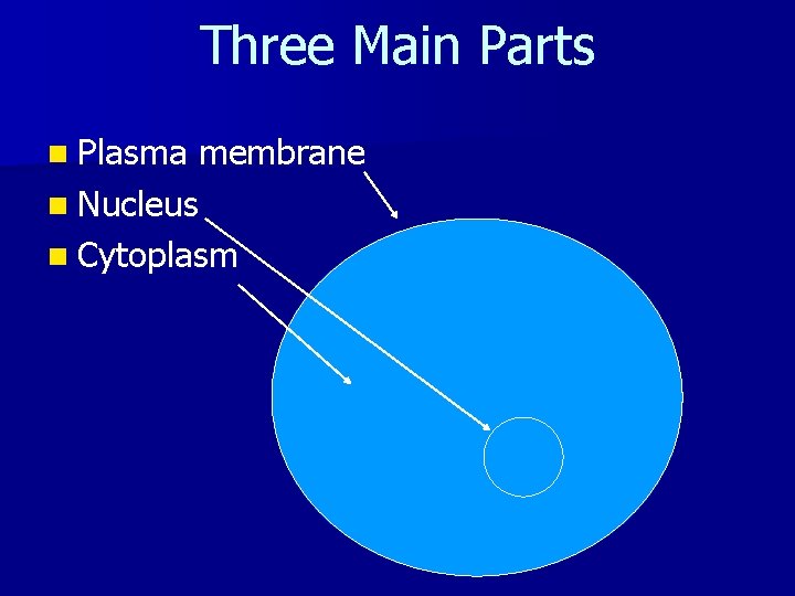 Three Main Parts n Plasma membrane n Nucleus n Cytoplasm 