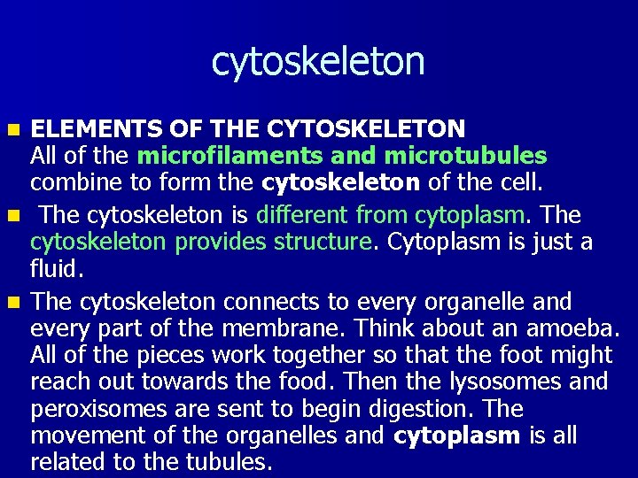 cytoskeleton ELEMENTS OF THE CYTOSKELETON All of the microfilaments and microtubules combine to form
