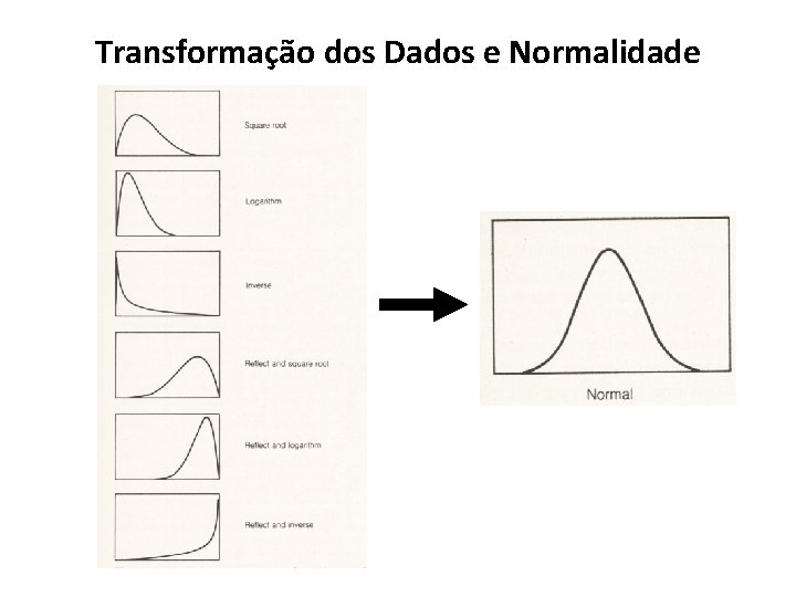 Transformação dos Dados e Normalidade 