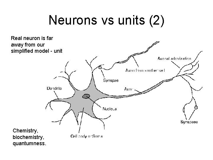 Neurons vs units (2) Real neuron is far away from our simplified model -