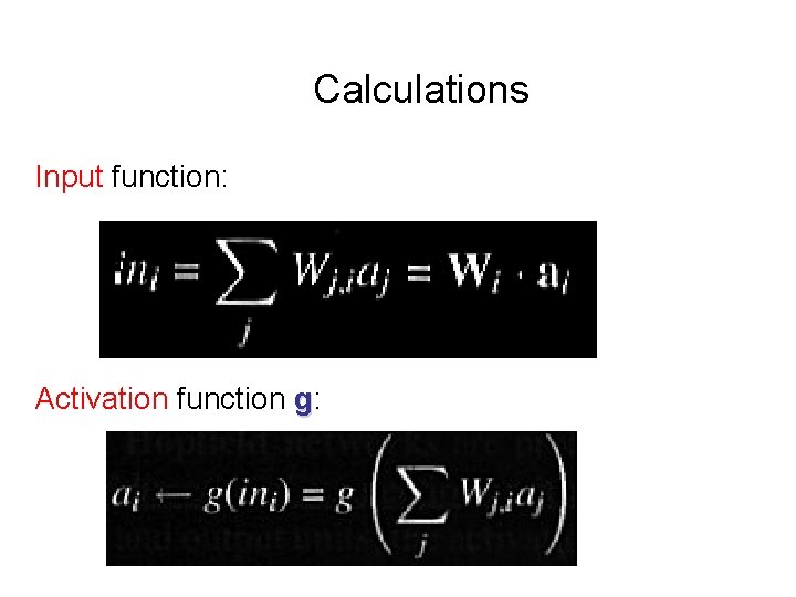 Calculations Input function: Activation function g: 