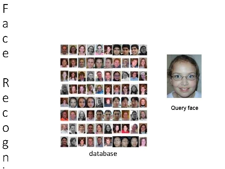 F a c e R e c o g n Queryimage face query database