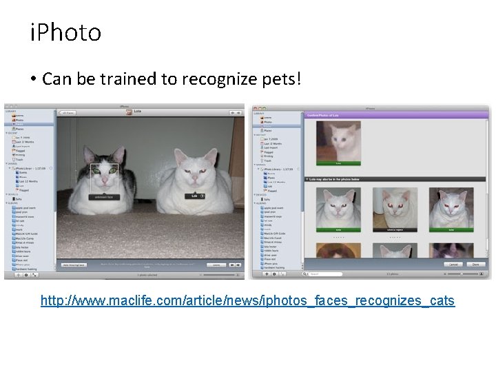 i. Photo • Can be trained to recognize pets! http: //www. maclife. com/article/news/iphotos_faces_recognizes_cats 